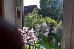 Etagenwohnung Waiblingen - 3 Zimmer, 65 m&sup2;, 1.250&euro; | Angebot:27541797