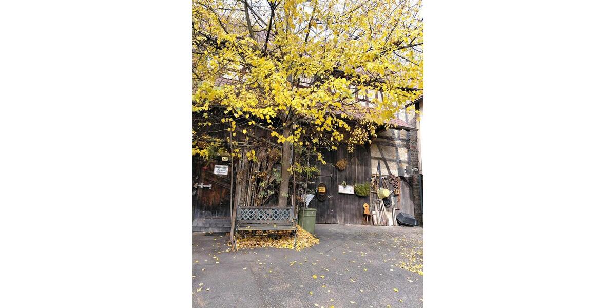 Einfamilienhaus Mühlacker - 4 Zimmer, 240.000&euro; | Angebot:21334238