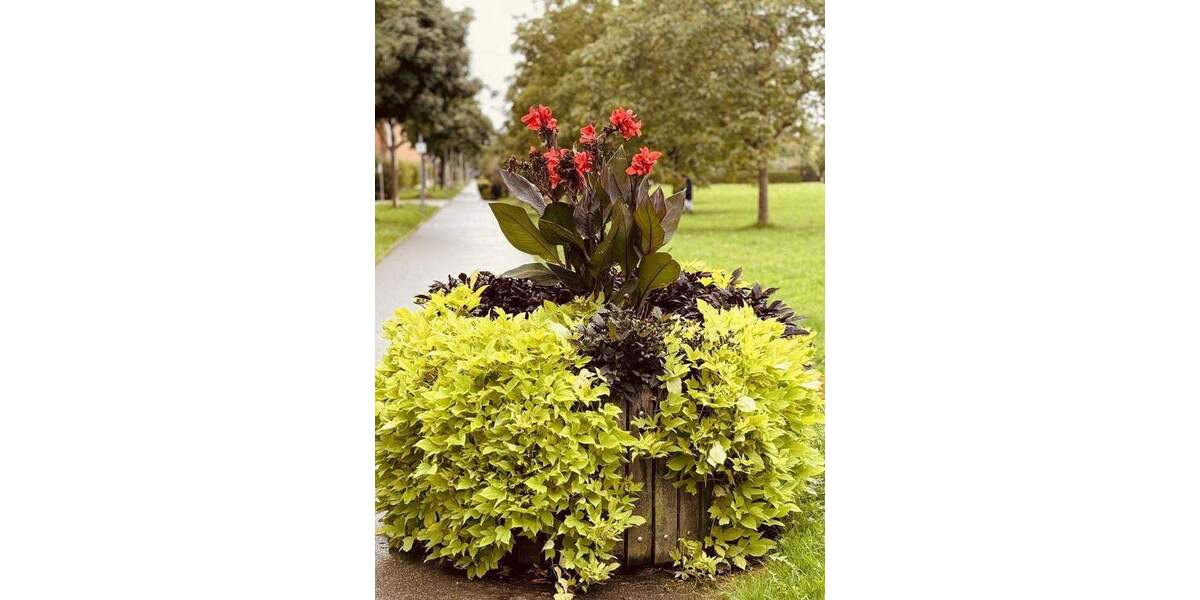 Etagenwohnung Ostfildern Scharnhauser Park - 3 Zimmer, 88 m&sup2;, 529.000&euro; | Angebot:25845517