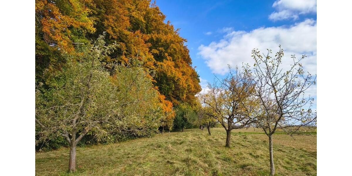 Grundstück Schorndorf - 39.000&euro; | Angebot:26359020