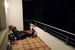 Erdgeschoßwohnung Ludwigsburg Eglosheim - 3 Zimmer, 84 m&sup2;, 1.360&euro; | Angebot:27584638