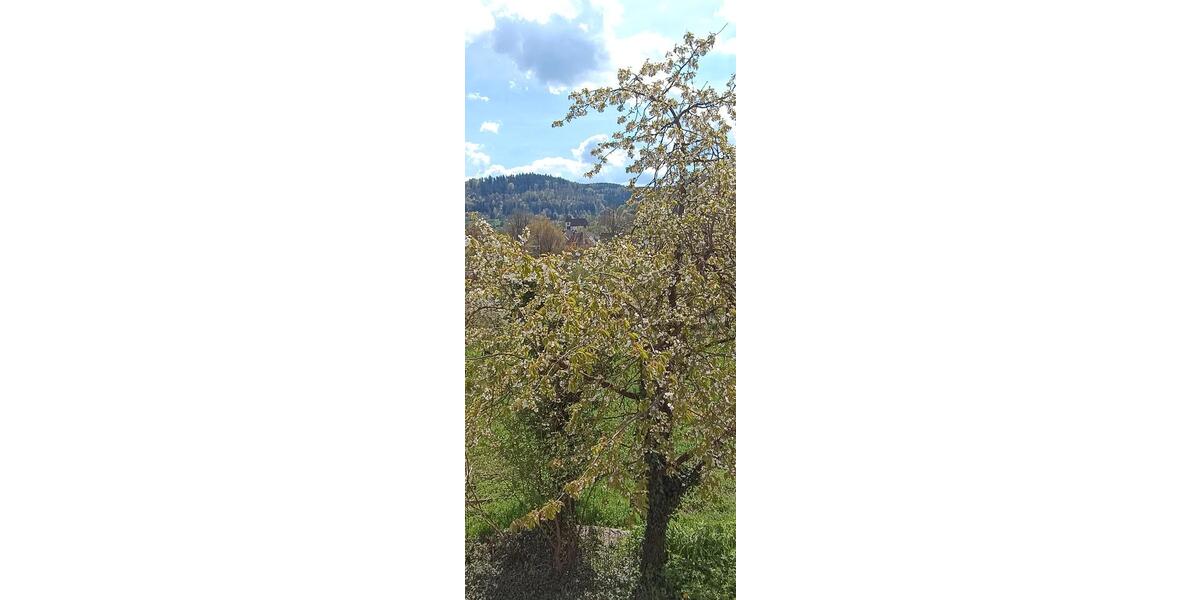 Einfamilienhaus Murrhardt - 10 Zimmer, 215 m&sup2;, 495.000&euro; | Angebot:26608934