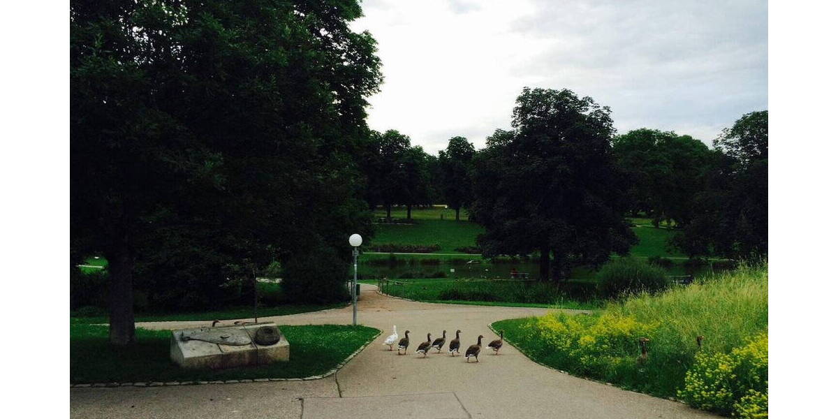 Etagenwohnung Stuttgart Ost - 3 Zimmer, 84 m&sup2;, 1.597&euro; | Angebot:26015856