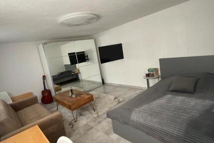 Wohnung Stuttgart Luginsland - 1 Zimmer, 40 m&sup2;, 950&euro; | Angebot:27541527
