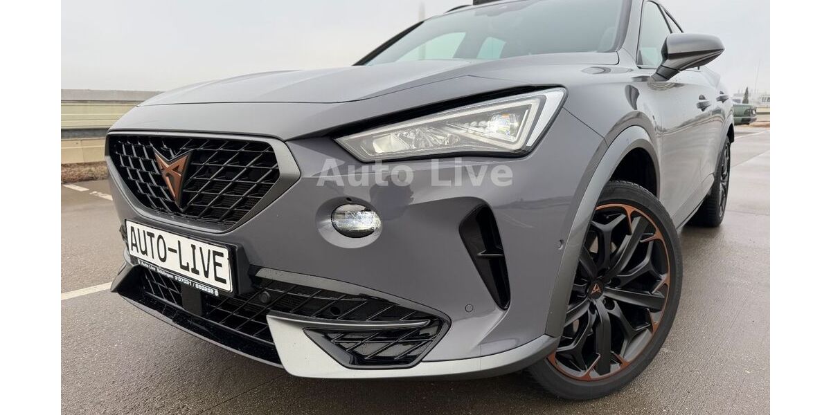 Cupra Formentor 46.850 km 29.990 &euro; Böblingen/Stuttgart 71034
