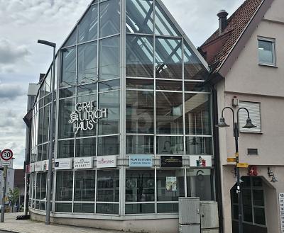 COOLE BAR IN TOP-LAGE - Gewerbeobjekt Leonberg | Angebot:27233866