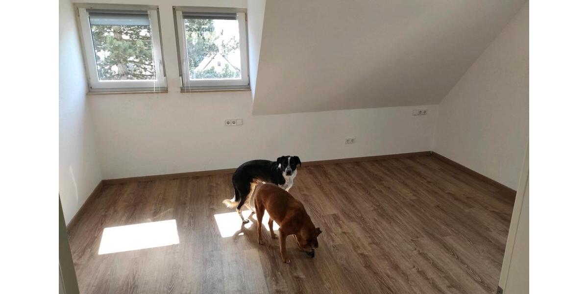 Dachgeschoßwohnung Mönsheim - 2.5 Zimmer, 55 m&sup2;, 850&euro; | Angebot:25656002