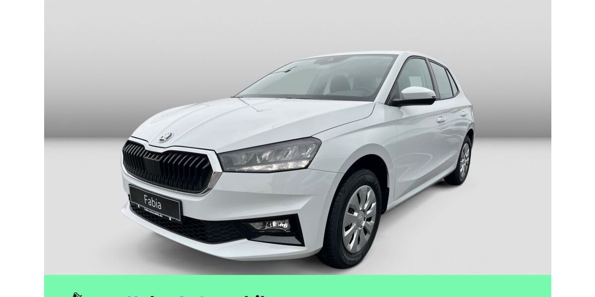 Skoda Fabia 1.111 km 20.590 &euro; Weinstadt-Endersbach 71384