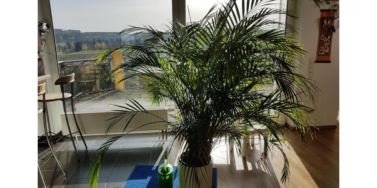 Einfamilienhaus Wimsheim - 6 Zimmer, 200 m&sup2;, 2.000&euro; | Angebot:25224769