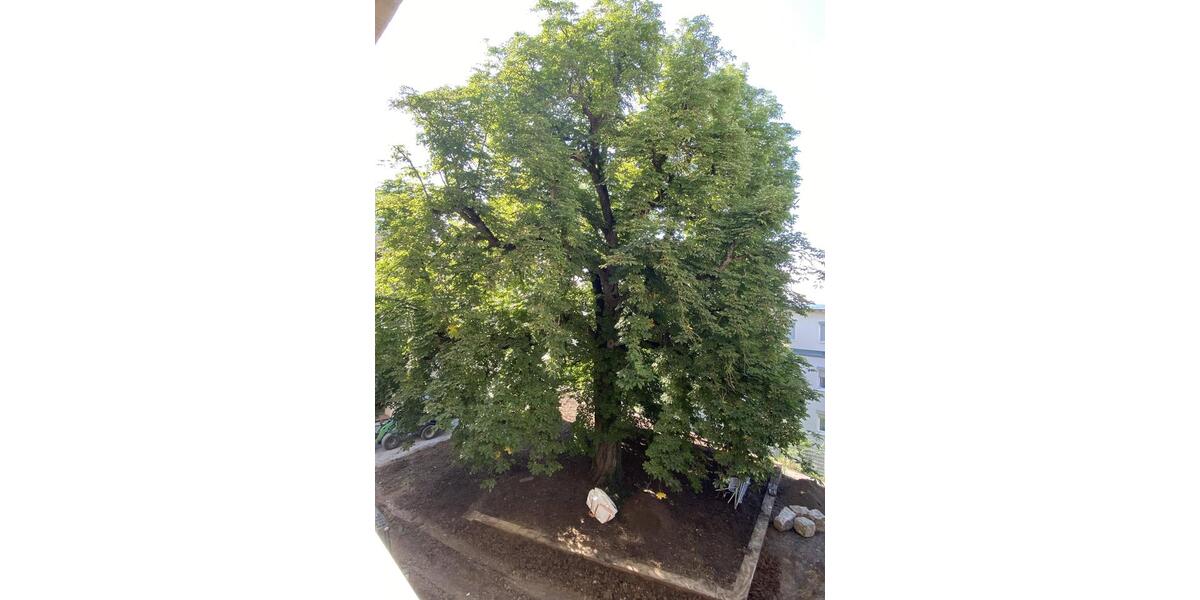 Etagenwohnung Leonberg - 4 Zimmer, 105 m&sup2;, 1.837&euro; | Angebot:23644746