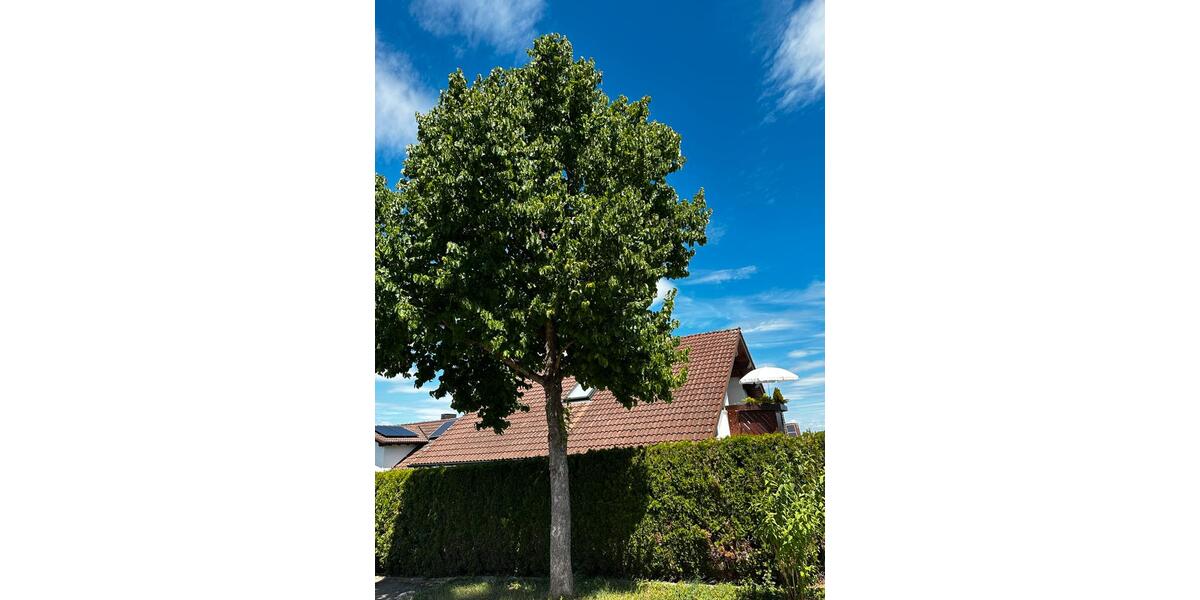 Einfamilienhaus Sachsenheim - 6 Zimmer, 170 m&sup2;, 753.000&euro; | Angebot:27128983