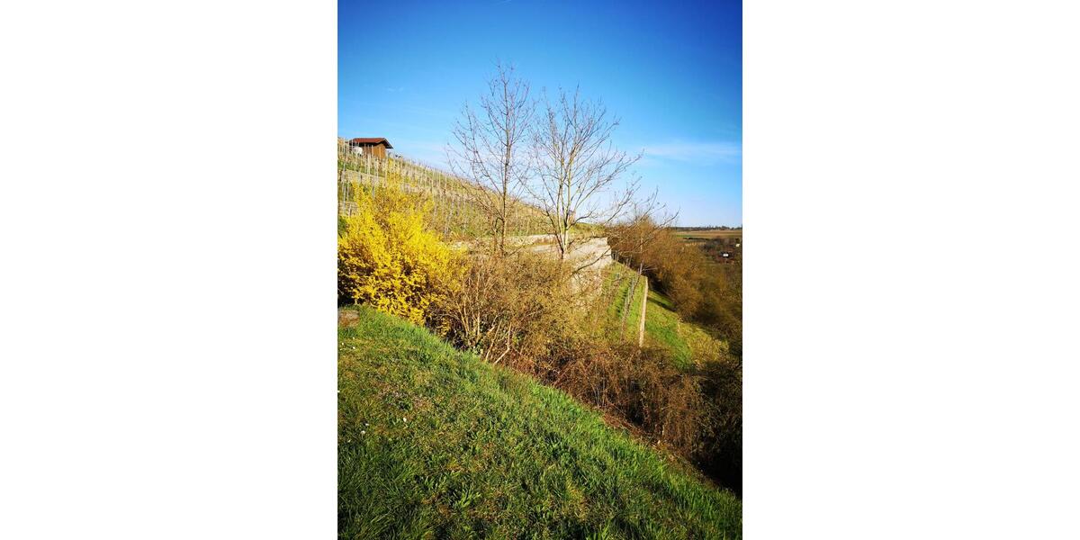 Erdgeschoßwohnung Vaihingen an der Enz - 4 Zimmer, 109 m&sup2;, 359.000&euro; | Angebot:25342351