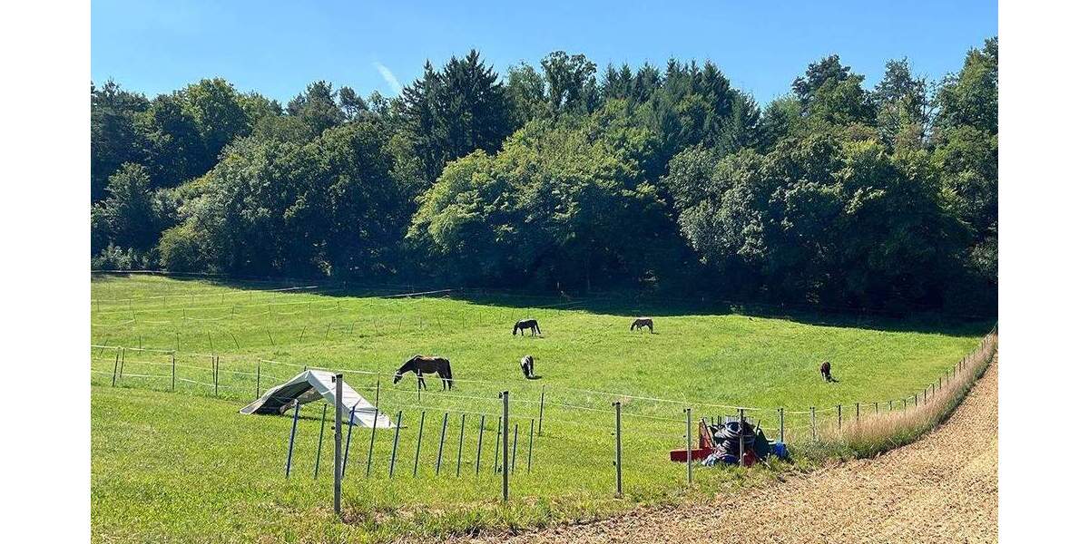 Einfamilienhaus Weissach / Flacht Flacht - 6 Zimmer, 174 m&sup2;, 898.615&euro; | Angebot:25672467