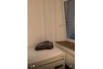 Etagenwohnung Backnang - 1 Zimmer, 2 m&sup2;, 650&euro; | Angebot:27583873