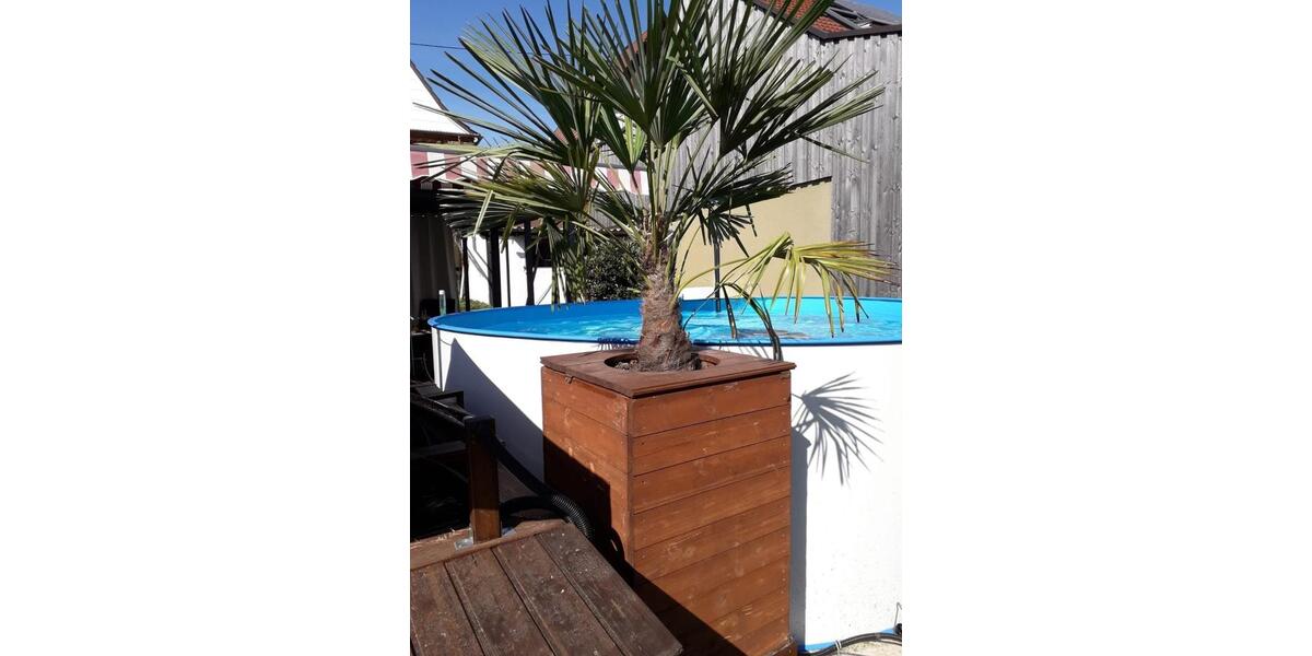 Einfamilienhaus Illingen - 4 Zimmer, 140 m&sup2;, 439.000&euro; | Angebot:25843670