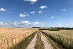 Etagenwohnung Hemmingen - 3.5 Zimmer, 85 m&sup2;, 1.400&euro; | Angebot:27536173