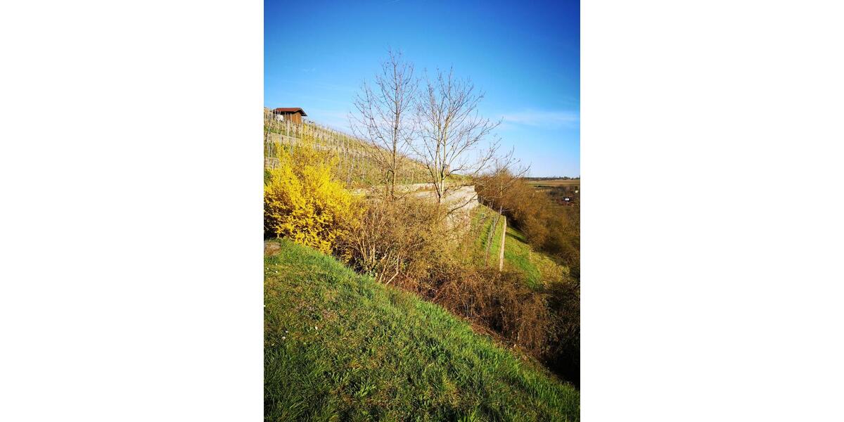 Erdgeschoßwohnung Vaihingen an der Enz - 4 Zimmer, 109 m&sup2;, 339.000&euro; | Angebot:26395665