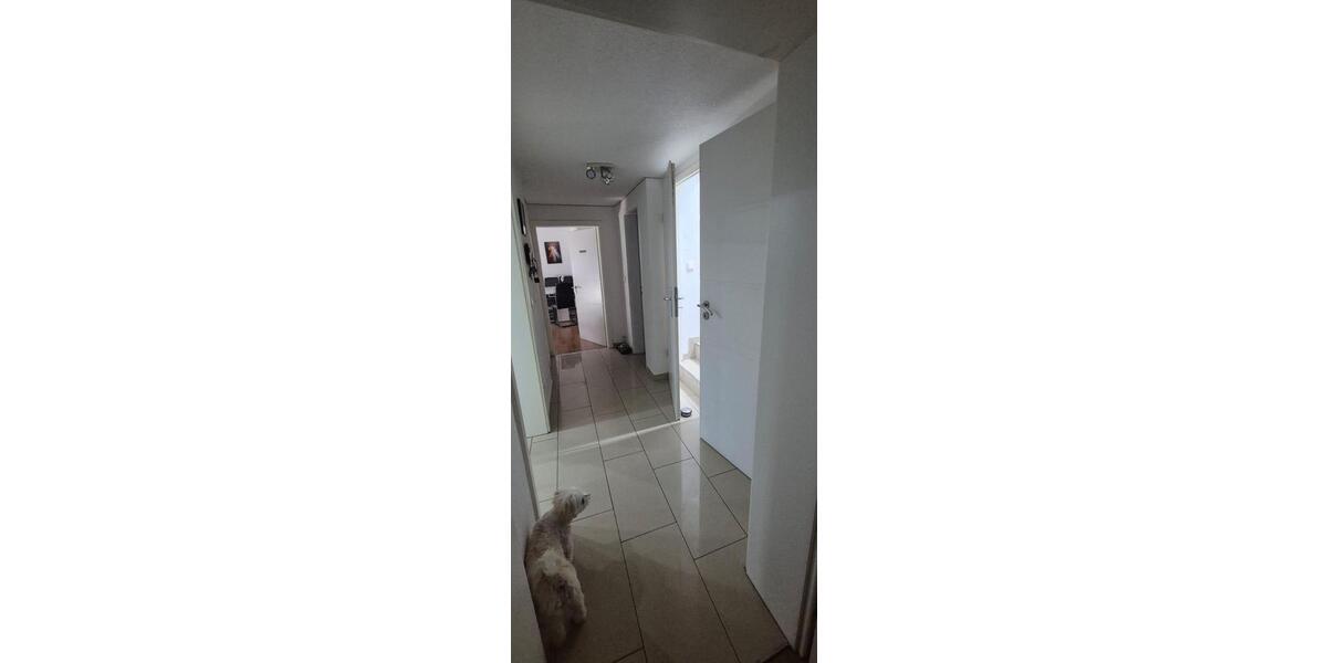 Doppelhaushälfte Lauffen am Neckar - 415.000&euro; | Angebot:26941916