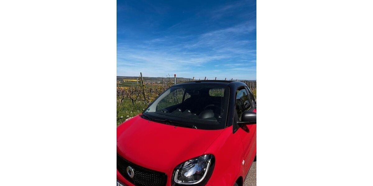 Smart ForTwo 14.800 km 17.900 &euro; Cleebronn 74389