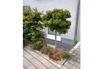 Etagenwohnung Esslingen am Neckar Brühl - 1 Zimmer, 34 m&sup2;, 770&euro; | Angebot:27572623