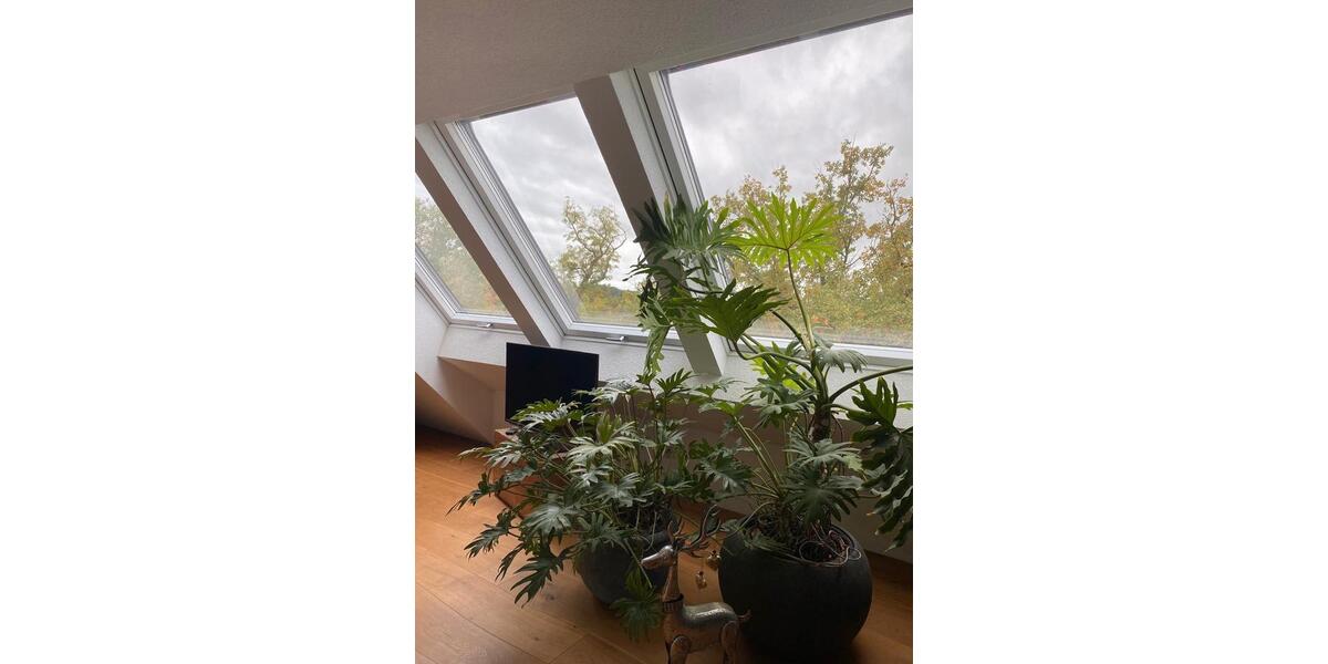 Maisonettenwohnung Filderstadt - 3.5 Zimmer, 101 m&sup2;, 1.300&euro; | Angebot:26598340