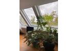 Maisonettenwohnung Filderstadt - 3.5 Zimmer, 101 m&sup2;, 1.300&euro; | Angebot:26598340