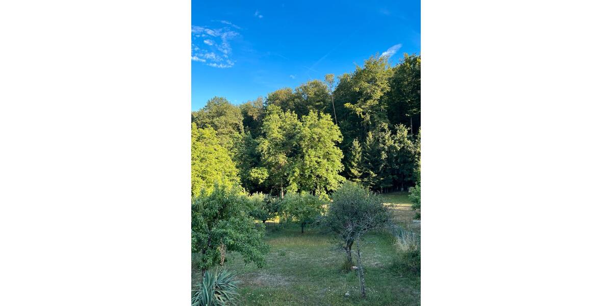 Grundstück Großbottwar - 40.000&euro; | Angebot:25059815