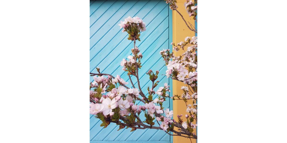 Einfamilienhaus Wimsheim - 6 Zimmer, 200 m&sup2;, 2.000&euro; | Angebot:25224769