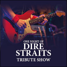 One Night of Dire Straits - Tribute Show 21.11.2026 Neckar Forum
