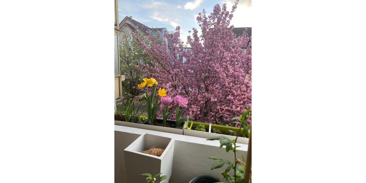 Etagenwohnung Schorndorf - 3 Zimmer, 75 m&sup2;, 277.000&euro; | Angebot:25282113