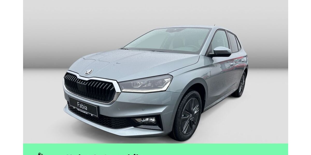 Skoda Fabia 2.500 km 22.490 &euro; Weinstadt-Endersbach 71384