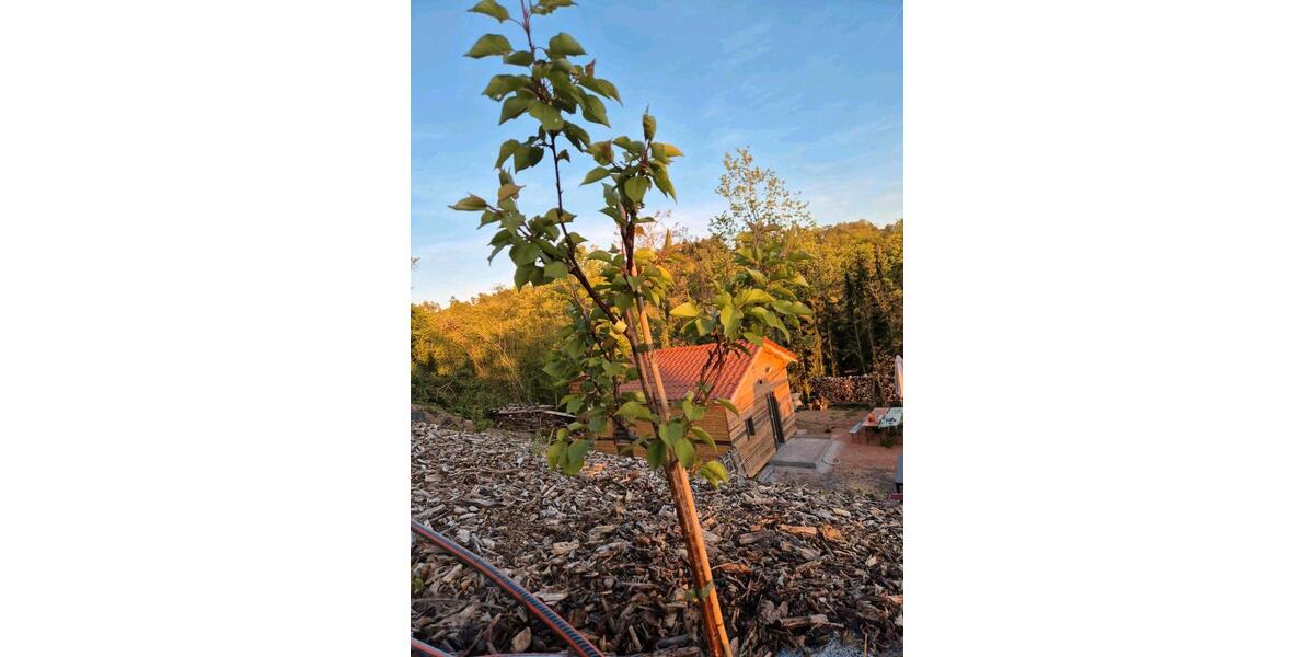 Einfamilienhaus Berglen - 2 Zimmer, 25 m&sup2;, 170.000&euro; | Angebot:26619686