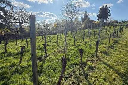 Grundstück Stuttgart Luginsland - 22.000&euro; | Angebot:21675821