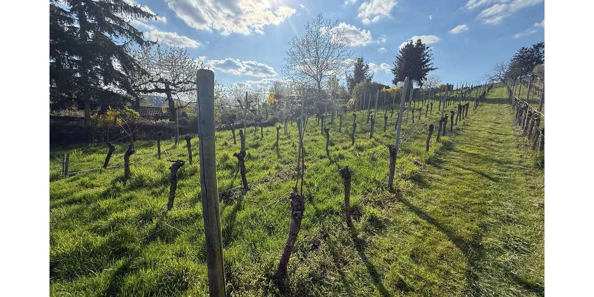 Grundstück Stuttgart Luginsland - 22.000&euro; | Angebot:21675821