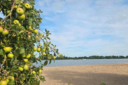 Haus Stuttgart - 85.000&euro; | Angebot:26042275