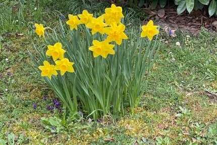 Wohnung Reichenbach an der Fils - 3 Zimmer, 67 m&sup2;, 239.000&euro; | Angebot:25997711