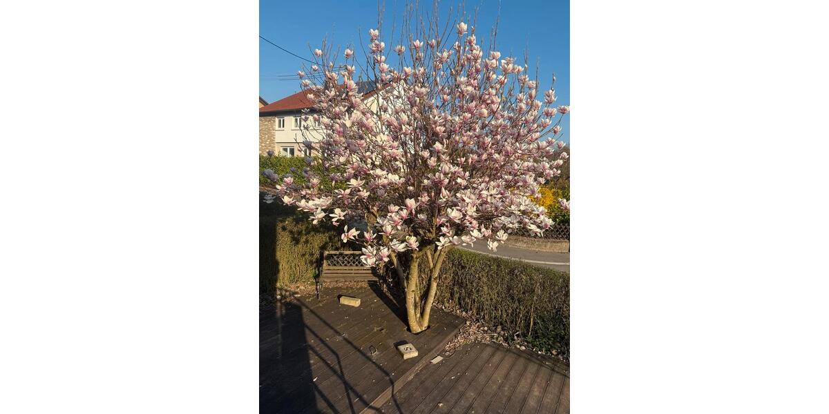 Hochparterre Steinheim an der Murr - 4 Zimmer, 77 m&sup2;, 1.350&euro; | Angebot:25944586