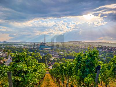 WO DER ALLTAG ENDET, BEGINNT ZUHAUSE - Erdgeschoßwohnung Stuttgart Bad Cannstatt Bad Cannstatt | Angebot:26981922