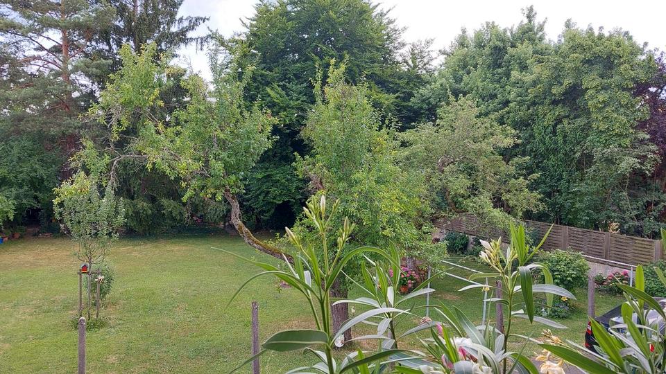 Mehrfamilienhaus, Wohnhaus Filderstadt - 1.399.000&euro; | Angebot:26595147