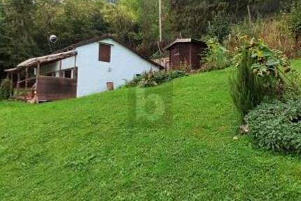 ROHDIAMANT - NATURGUNDSTÜCK MIT BESTAND - Grundstück Gerlingen | Angebot:26008061