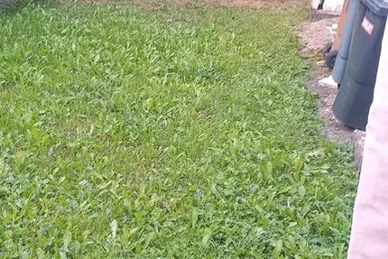 Wohnung Nordheim - 3 Zimmer, 85 m&sup2;, 900&euro; | Angebot:25978989