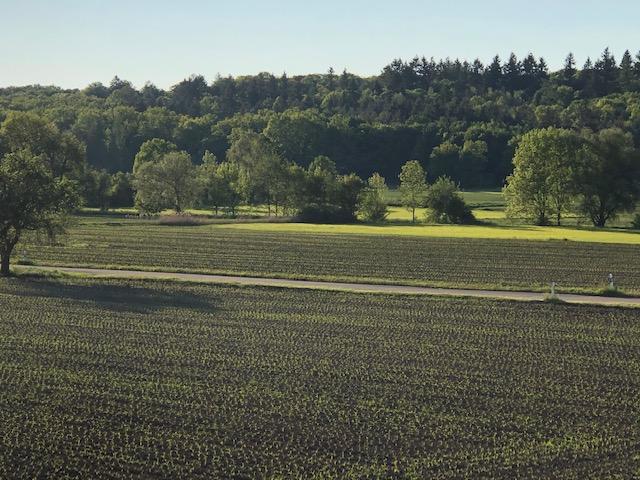 Gewerbeobjekt Leonberg - 450&euro; | Angebot:25968972