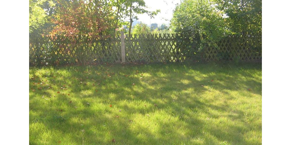 Terrassenwohnung Tamm - 2 Zimmer, 65 m&sup2;, 700&euro; | Angebot:27581871