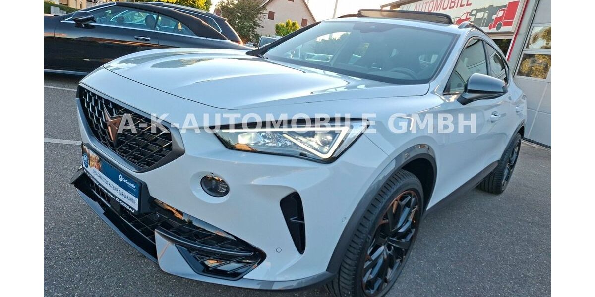 Cupra Formentor 13.142 km 33.999 &euro; Deizisau 73779